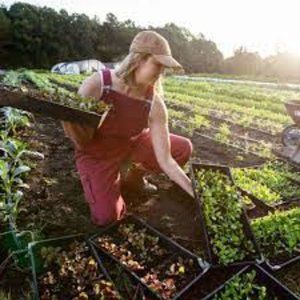 Duluth Trading Company Women's Heirloom Gardening Bib Overalls